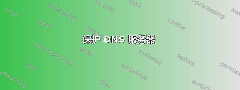 保护 DNS 服务器