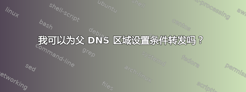 我可以为父 DNS 区域设置条件转发吗？