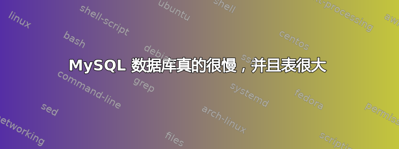 MySQL 数据库真的很慢，并且表很大