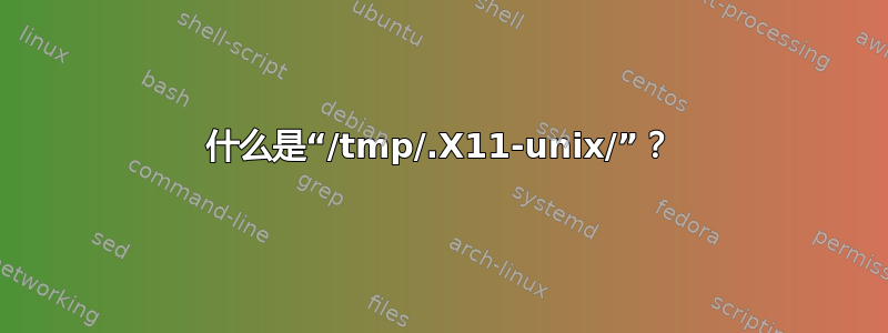 什么是“/tmp/.X11-unix/”？