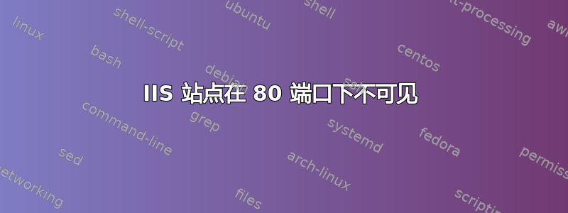 IIS 站点在 80 端口下不可见