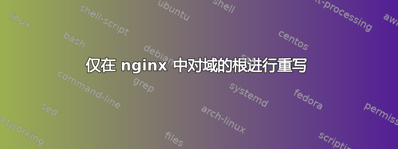 仅在 nginx 中对域的根进行重写