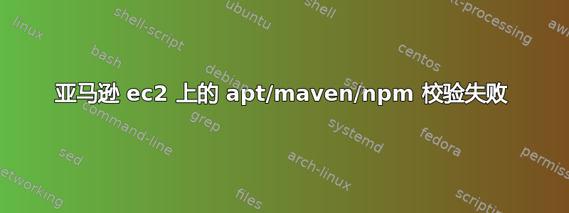 亚马逊 ec2 上的 apt/maven/npm 校验失败