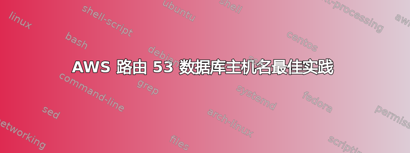 AWS 路由 53 数据库主机名最佳实践