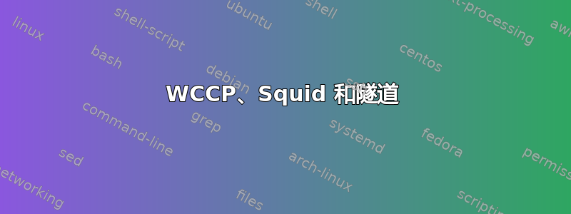 WCCP、Squid 和隧道