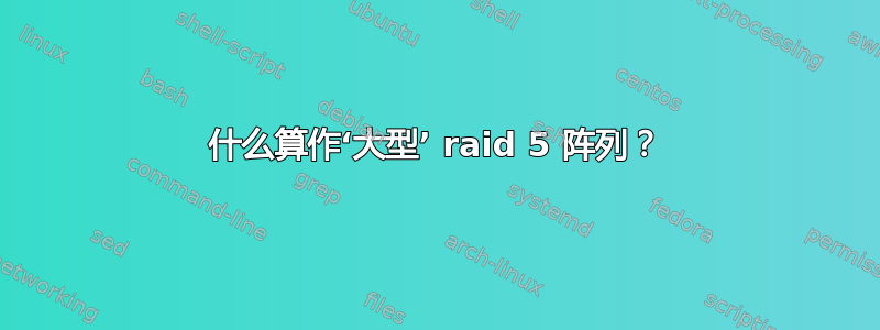 什么算作‘大型’ raid 5 阵列？