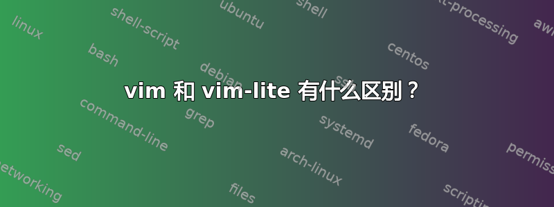 vim 和 vim-lite 有什么区别？