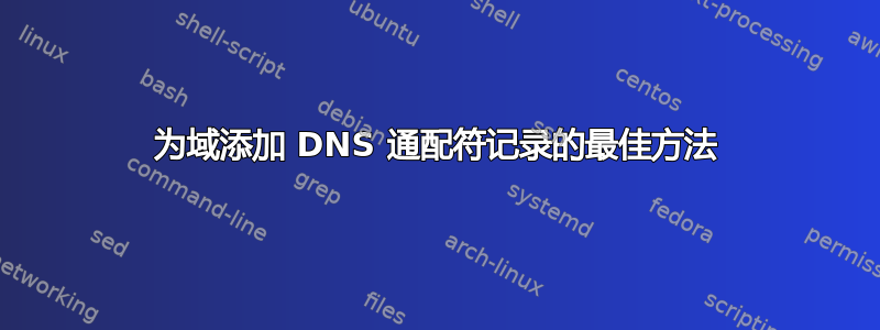 为域添加 DNS 通配符记录的最佳方法