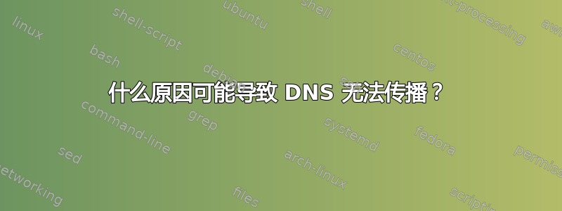 什么原因可能导致 DNS 无法传播？