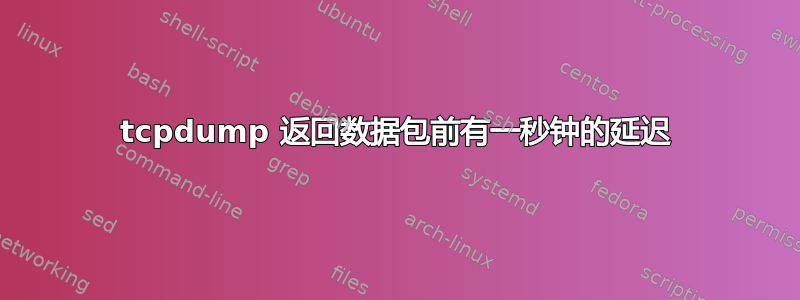 tcpdump 返回数据包前有一秒钟的延迟