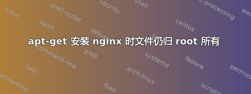 apt-get 安装 nginx 时文件仍归 root 所有