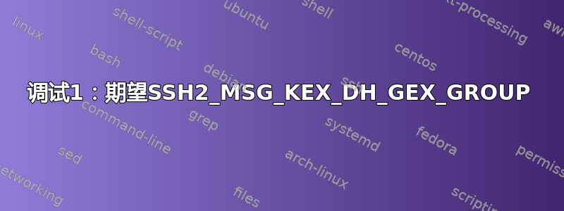 调试1：期望SSH2_MSG_KEX_DH_GEX_GROUP