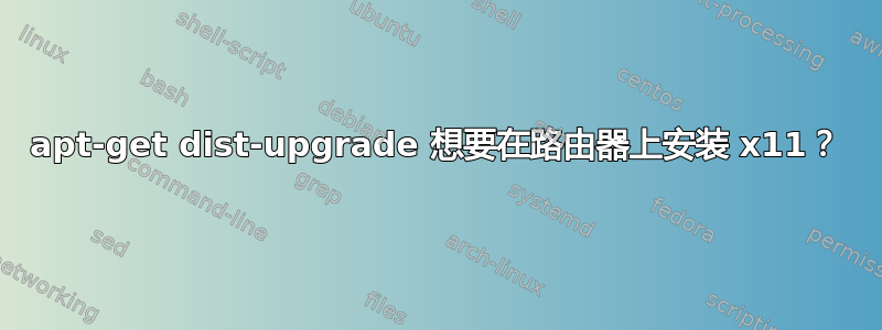 apt-get dist-upgrade 想要在路由器上安装 x11？