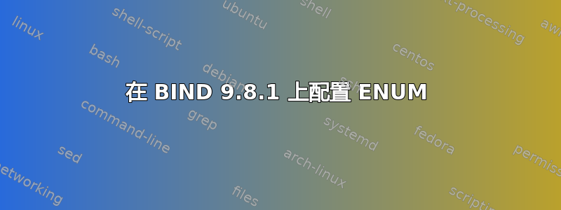 在 BIND 9.8.1 上配置 ENUM