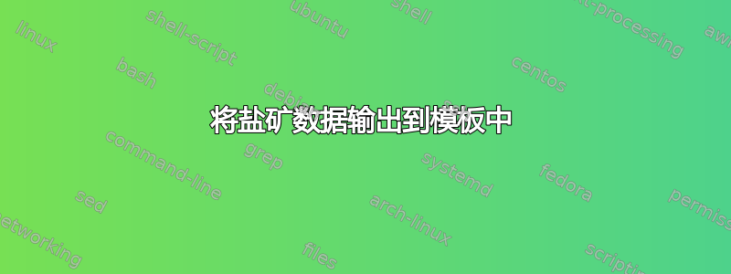 将盐矿数据输出到模板中