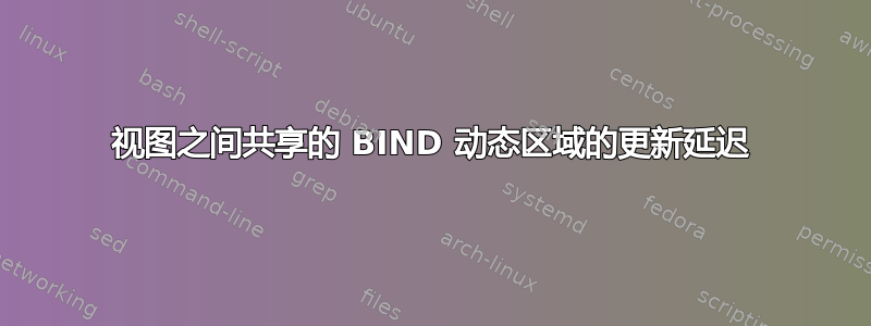 视图之间共享的 BIND 动态区域的更新延迟