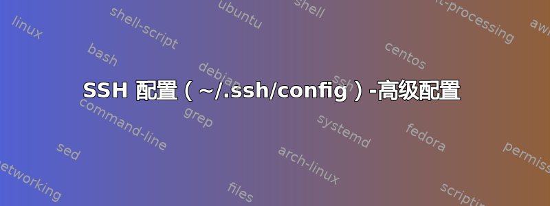 SSH 配置（~/.ssh/config）-高级配置