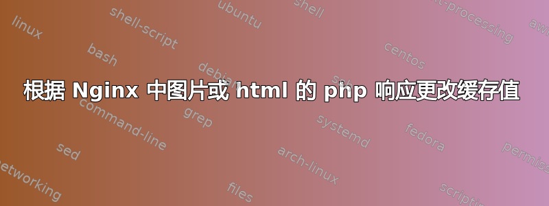 根据 Nginx 中图片或 html 的 php 响应更改缓存值