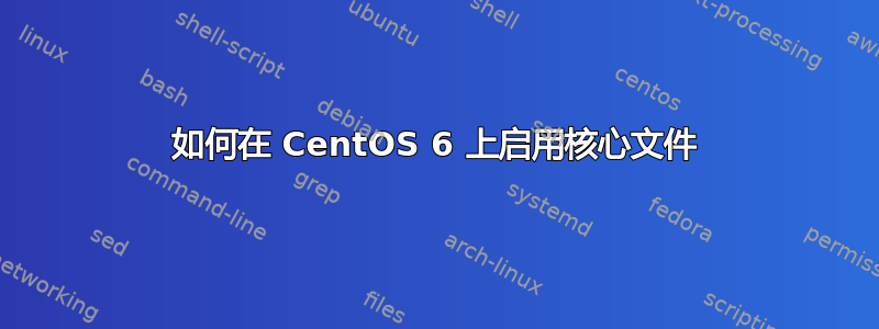 如何在 CentOS 6 上启用核心文件