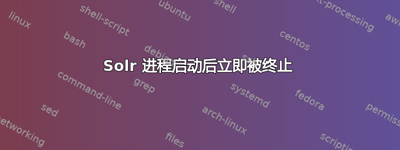 Solr 进程启动后立即被终止