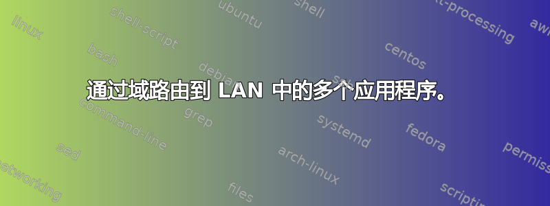 通过域路由到 LAN 中的多个应用程序。