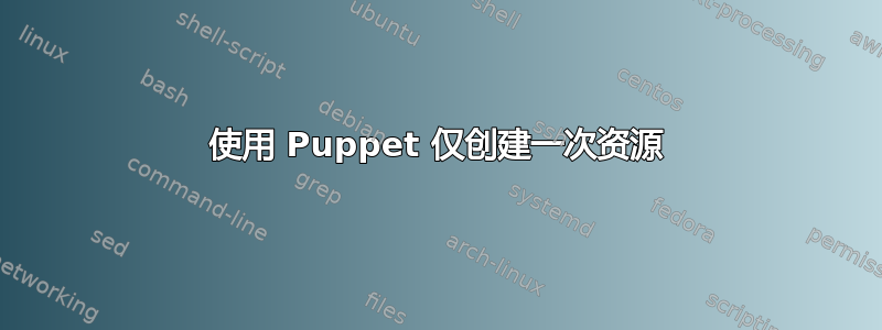 使用 Puppet 仅创建一次资源