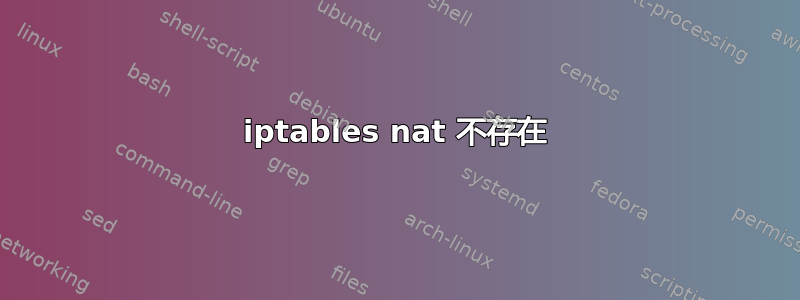 iptables nat 不存在