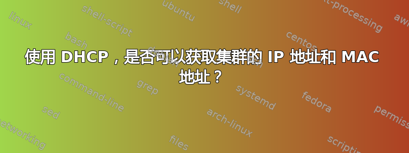 使用 DHCP，是否可以获取集群的 IP 地址和 MAC 地址？