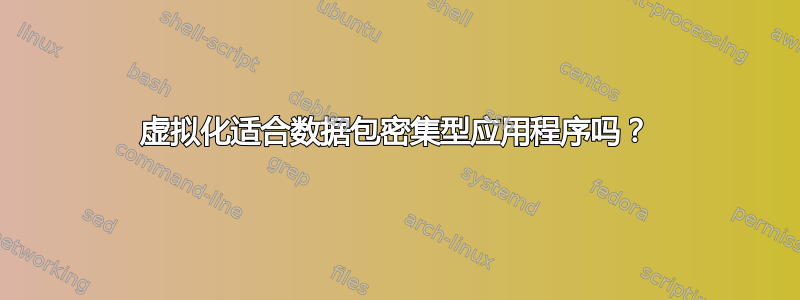 虚拟化适合数据包密集型应用程序吗？