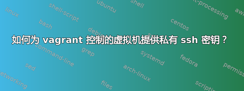 如何为 vagrant 控制的虚拟机提供私有 ssh 密钥？