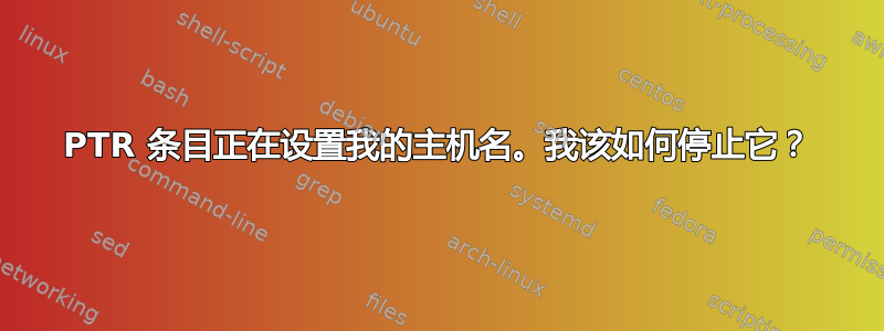 PTR 条目正在设置我的主机名。我该如何停止它？