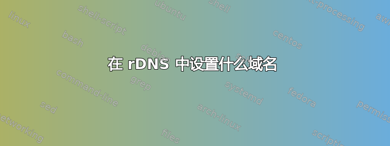 在 rDNS 中设置什么域名