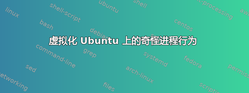 虚拟化 Ubuntu 上的奇怪进程行为