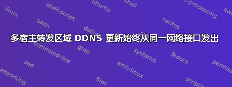 多宿主转发区域 DDNS 更新始终从同一网络接口发出