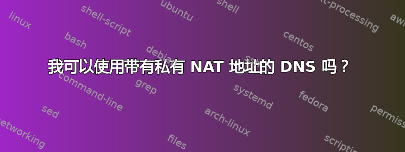 我可以使用带有私有 NAT 地址的 DNS 吗？