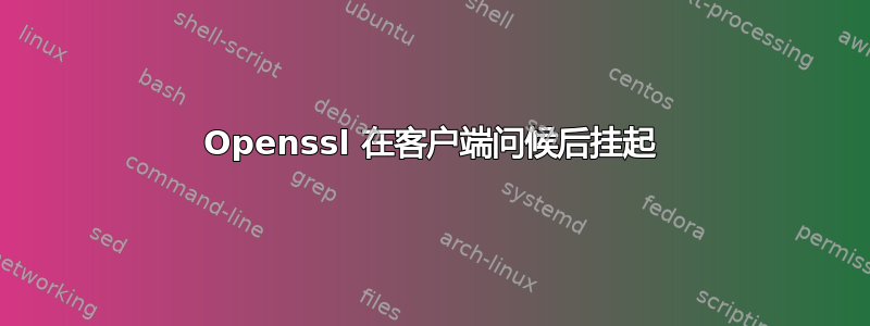 Openssl 在客户端问候后挂起