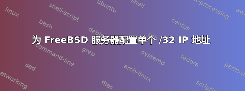 为 FreeBSD 服务器配置单个 /32 IP 地址