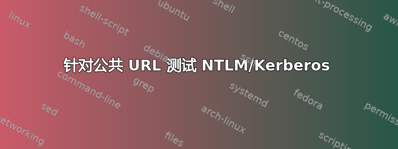 针对公共 URL 测试 NTLM/Kerberos