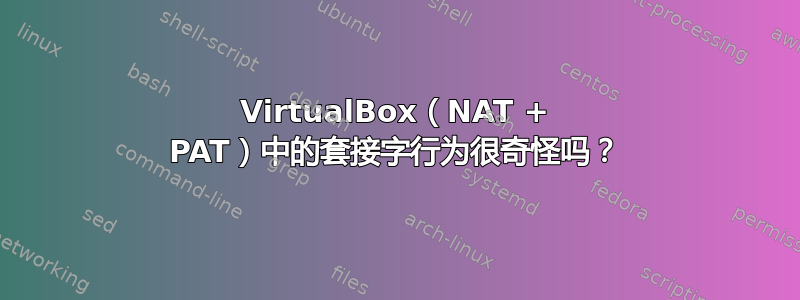 VirtualBox（NAT + PAT）中的套接字行为很奇怪吗？