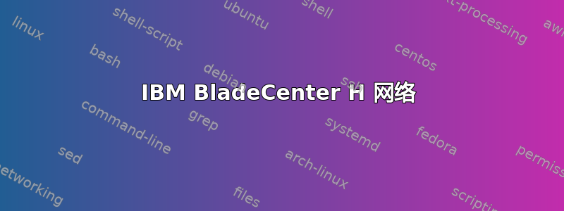 IBM BladeCenter H 网络