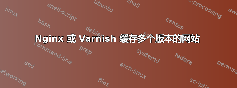 Nginx 或 Varnish 缓存多个版本的网站