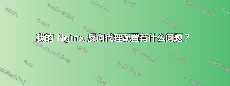 我的 Nginx 反向代理配置有什么问题？