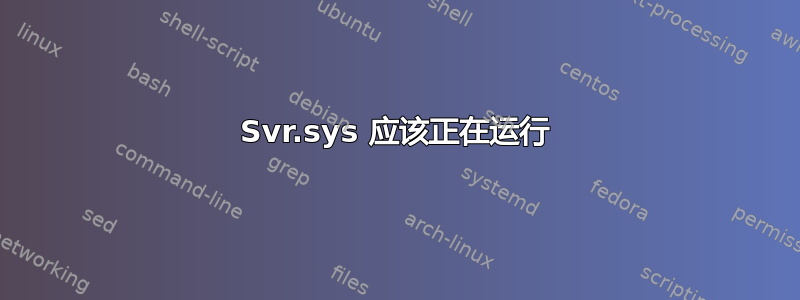 Svr.sys 应该正在运行