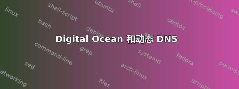 Digital Ocean 和动态 DNS 