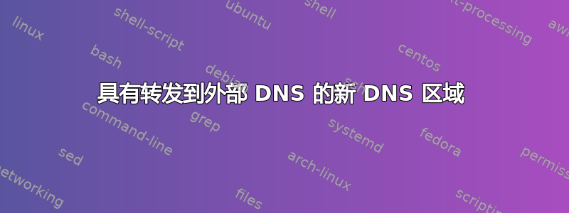 具有转发到外部 DNS 的新 DNS 区域