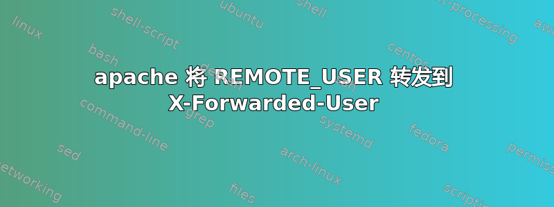 apache 将 REMOTE_USER 转发到 X-Forwarded-User