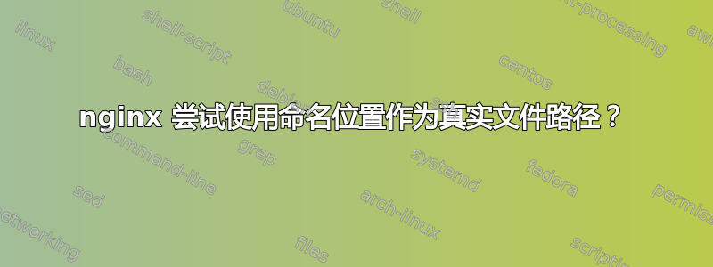 nginx 尝试使用命名位置作为真实文件路径？