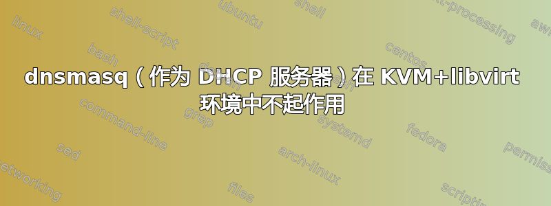 dnsmasq（作为 DHCP 服务器）在 KVM+libvirt 环境中不起作用