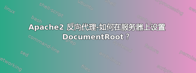 Apache2 反向代理-如何在服务器上设置 DocumentRoot？