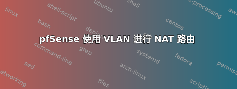 pfSense 使用 VLAN 进行 NAT 路由